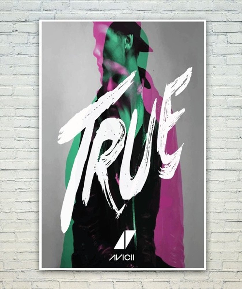 Avicii Fotoğrafı - 5
