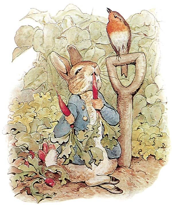 Beatrix Potter Fotoğrafı - 3