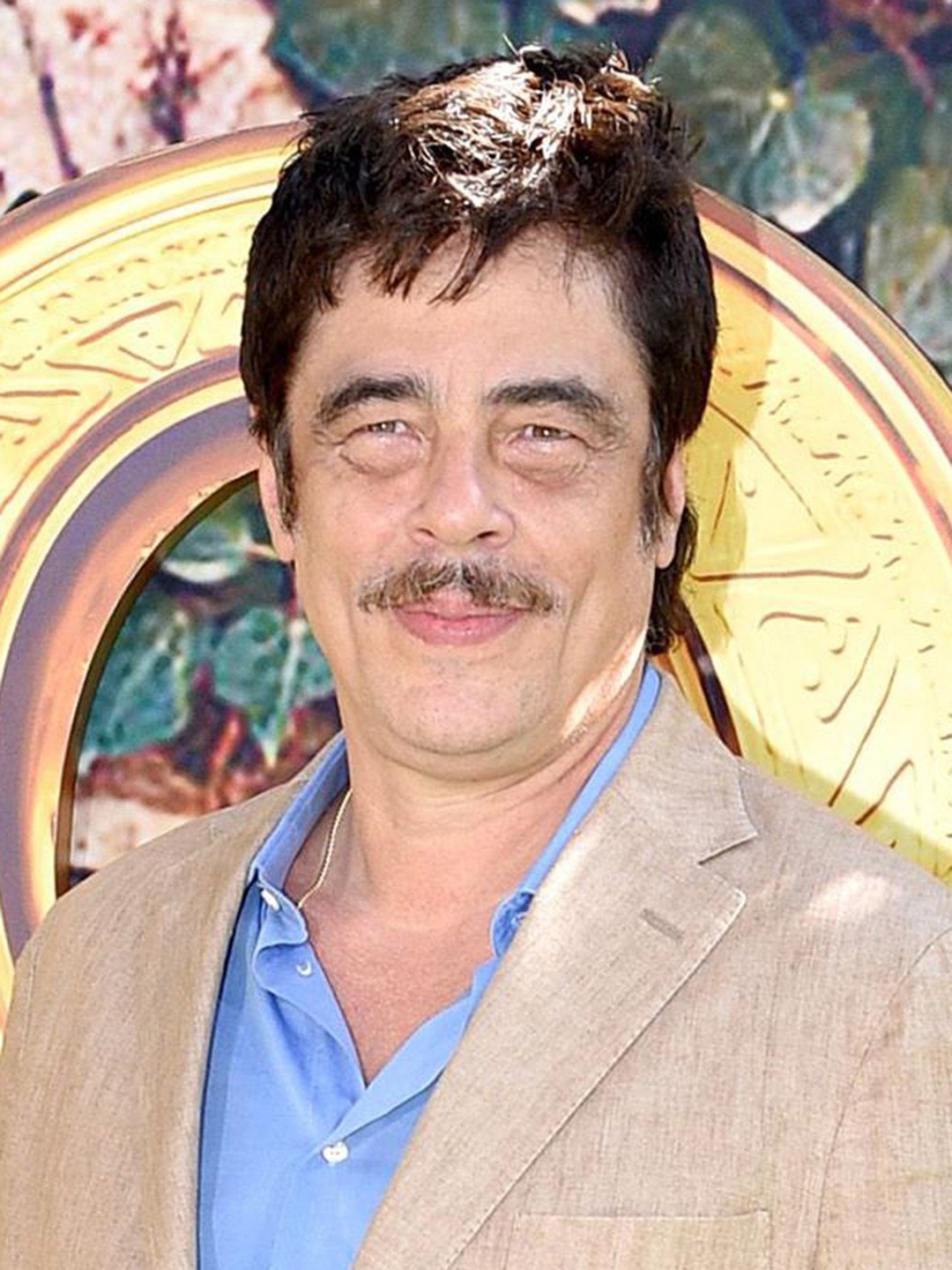 Benicio del Toro Fotoğrafı - 1