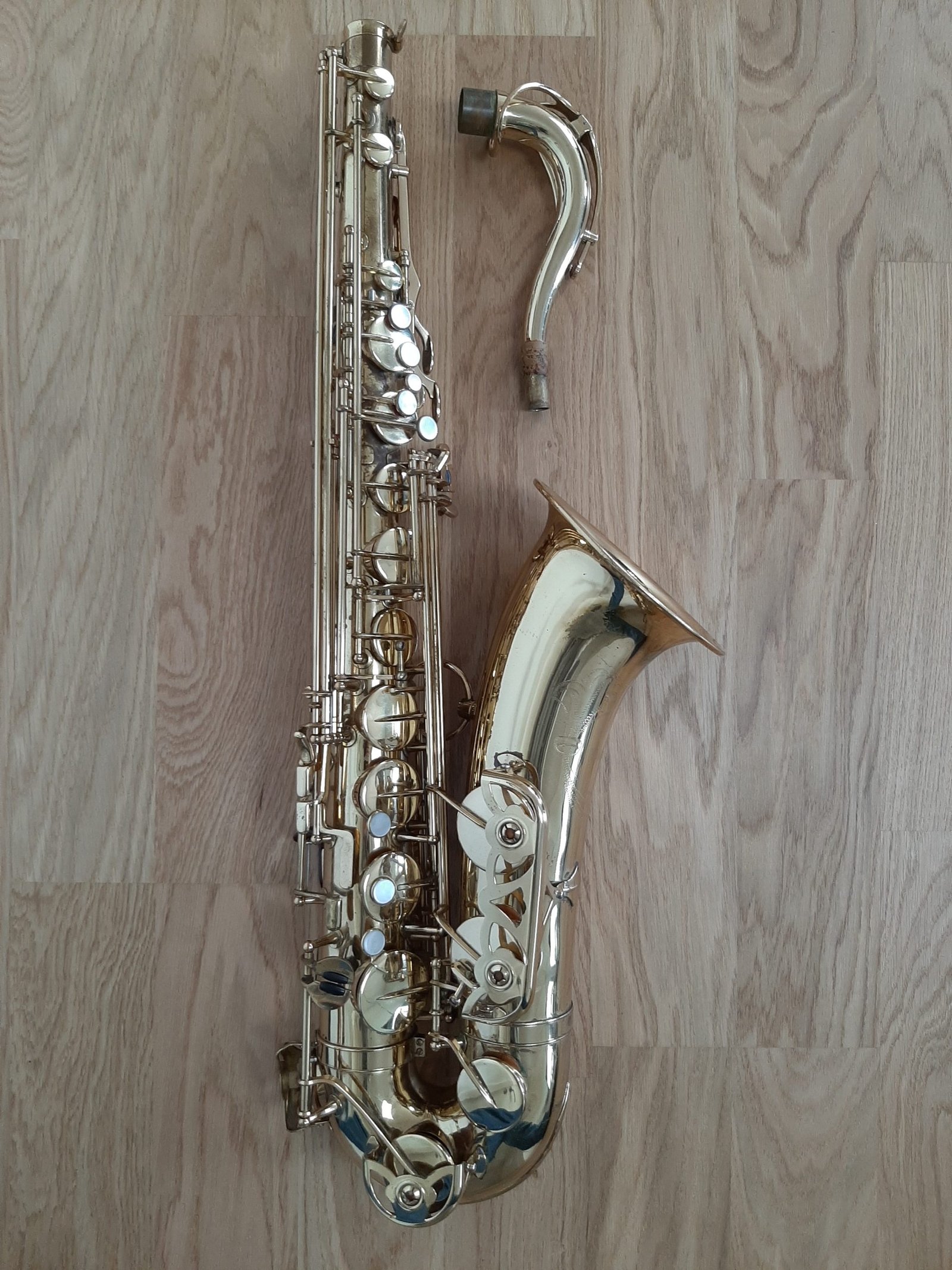 Cansu Çamlıbel Fotoğrafı - 2