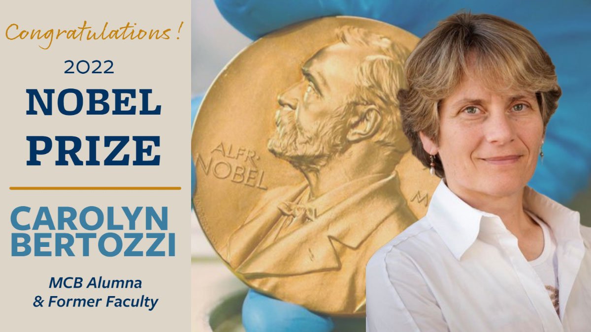Carolyn Bertozzi Profil Resmi