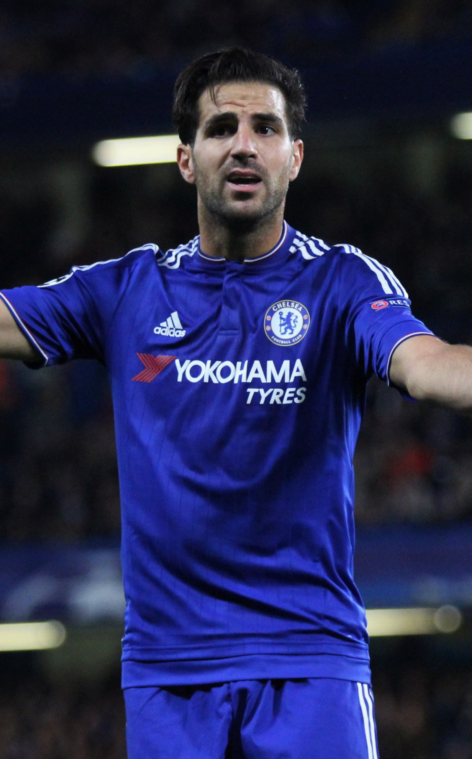 Cesc Fàbregas Fotoğrafı - 1