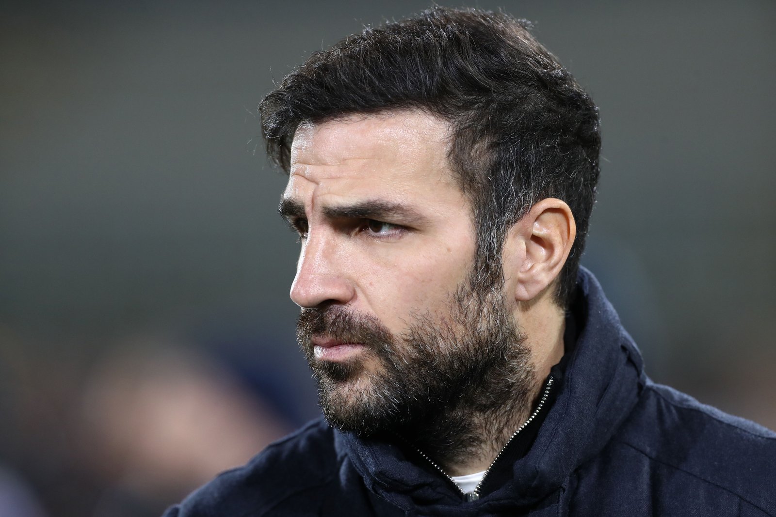 Cesc Fàbregas Fotoğrafı - 2