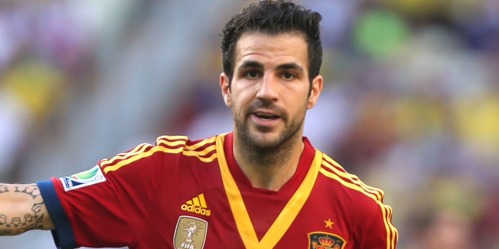 Cesc Fàbregas Fotoğrafı - 3