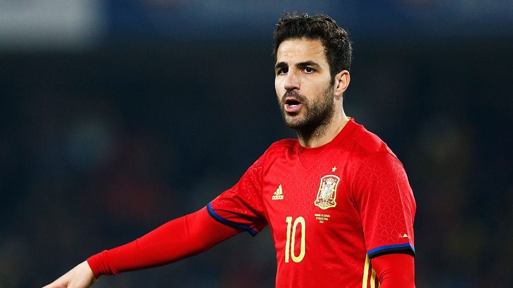 Cesc Fàbregas Fotoğrafı - 5