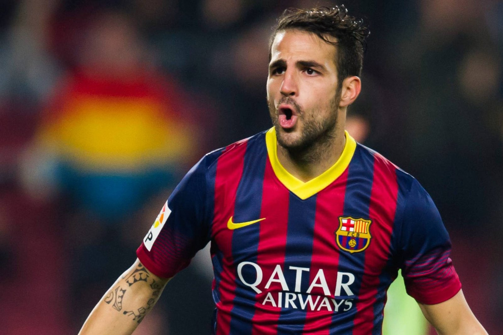 Cesc Fàbregas Profil Resmi