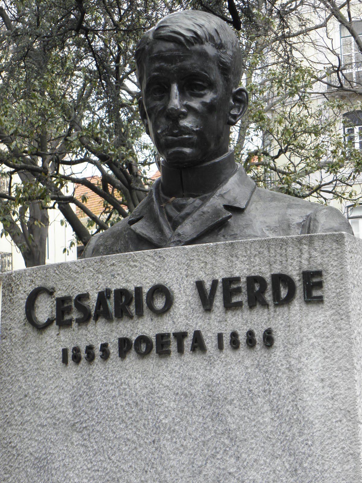 Cesário Verde Profil Resmi