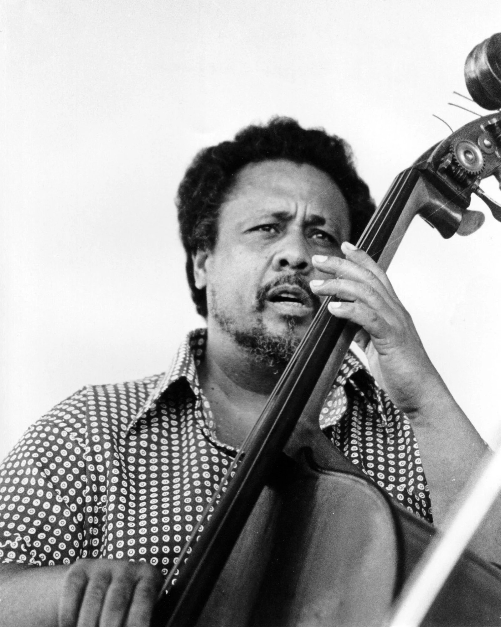 Charles Mingus Fotoğrafı - 2