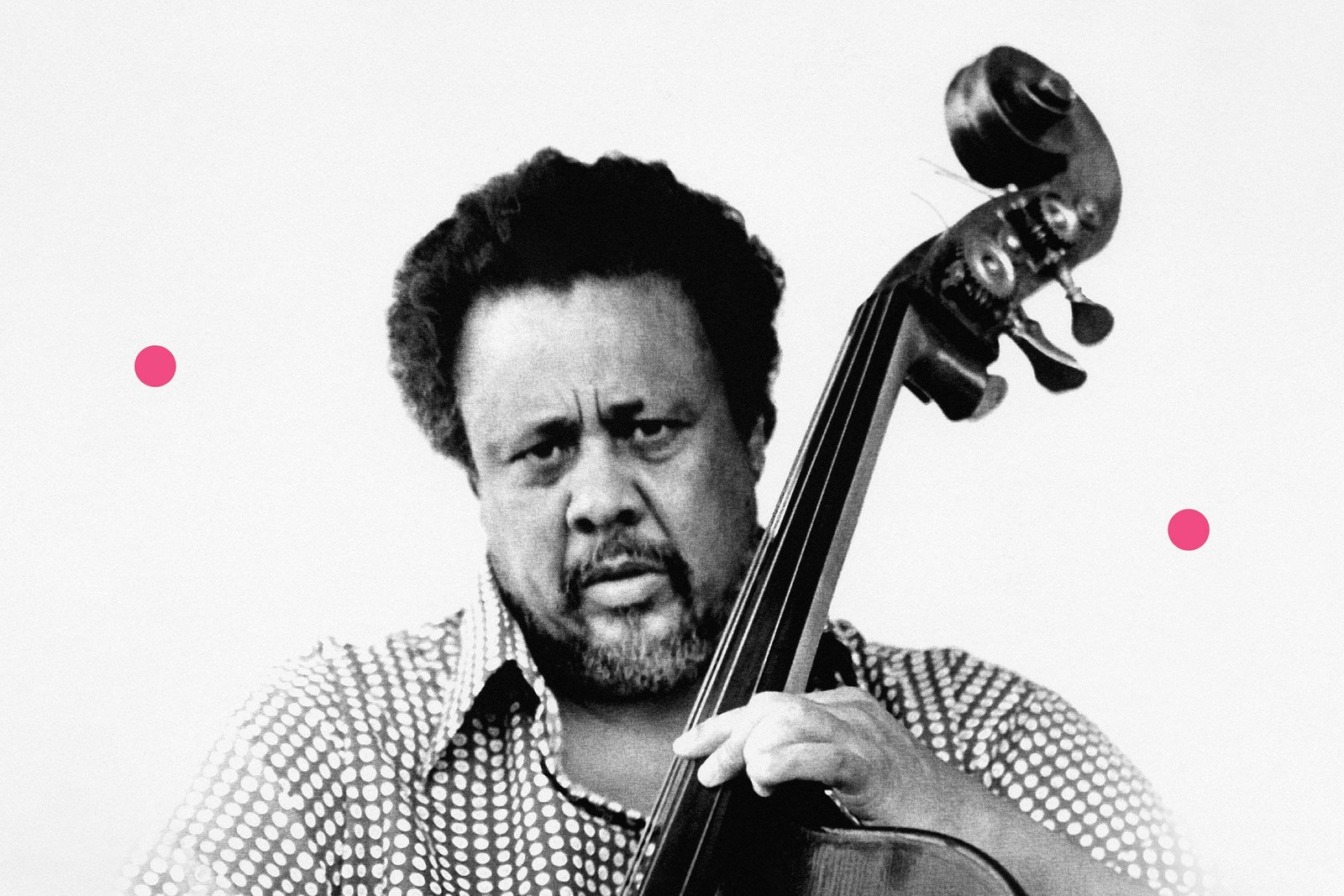 Charles Mingus Fotoğrafı - 5