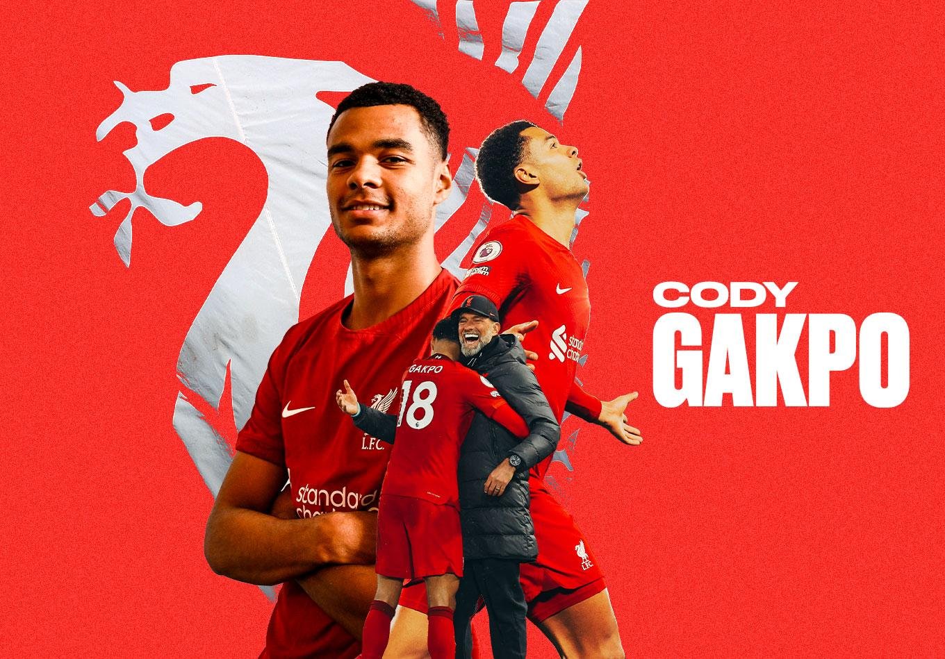 Cody Gakpo Fotoğrafı - 5