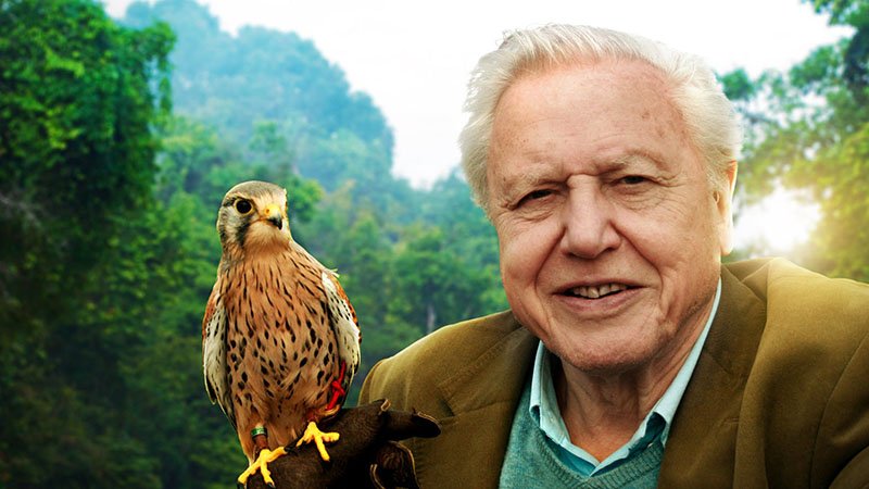 David Attenborough Fotoğrafı - 2