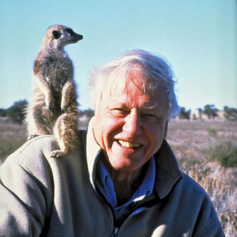 David Attenborough Fotoğrafı - 3