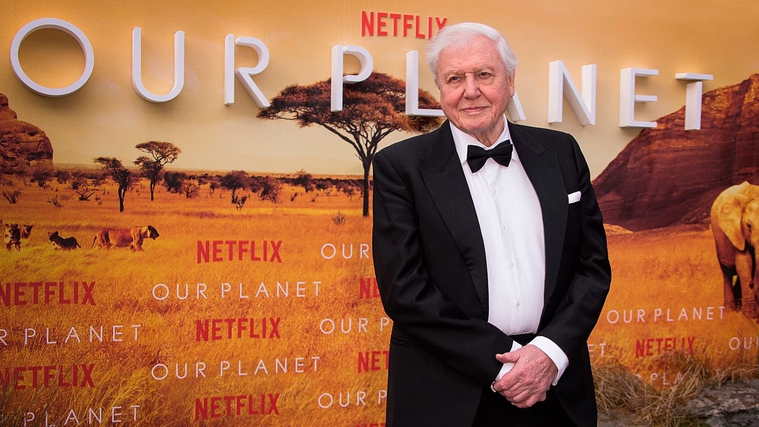 David Attenborough Fotoğrafı - 4