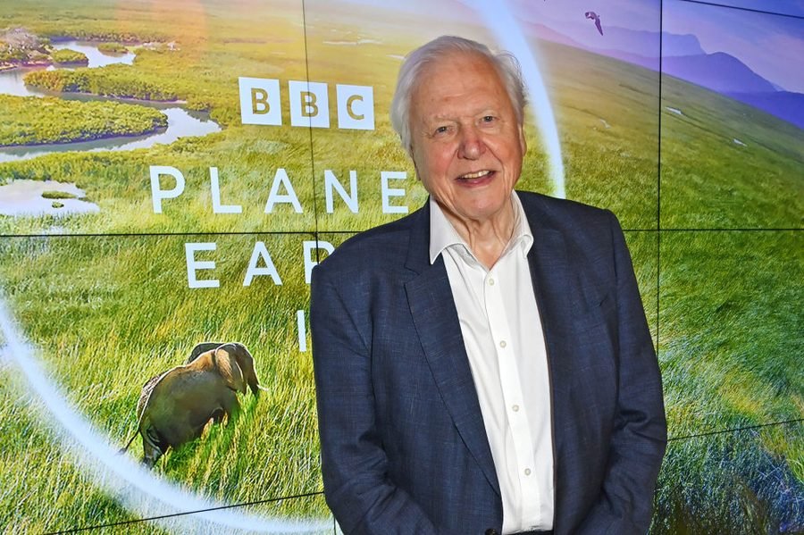 David Attenborough Fotoğrafı - 5