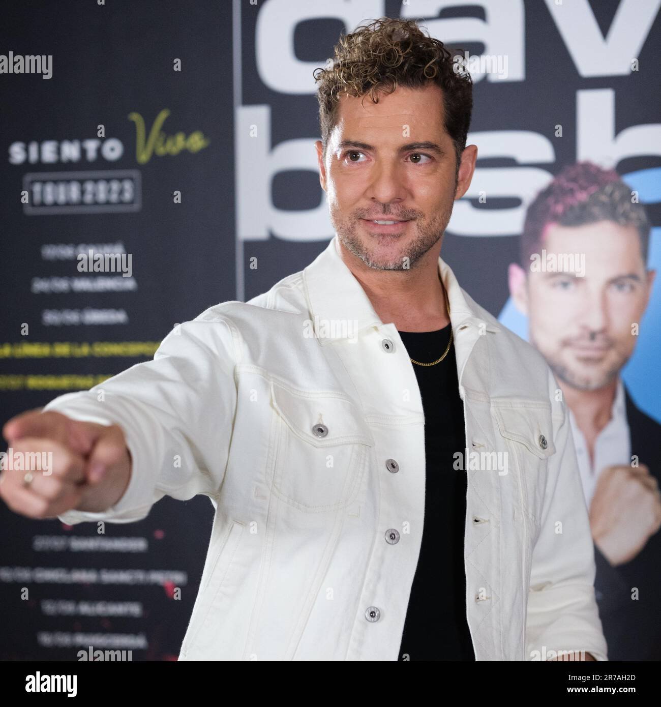 David Bisbal Profil Resmi