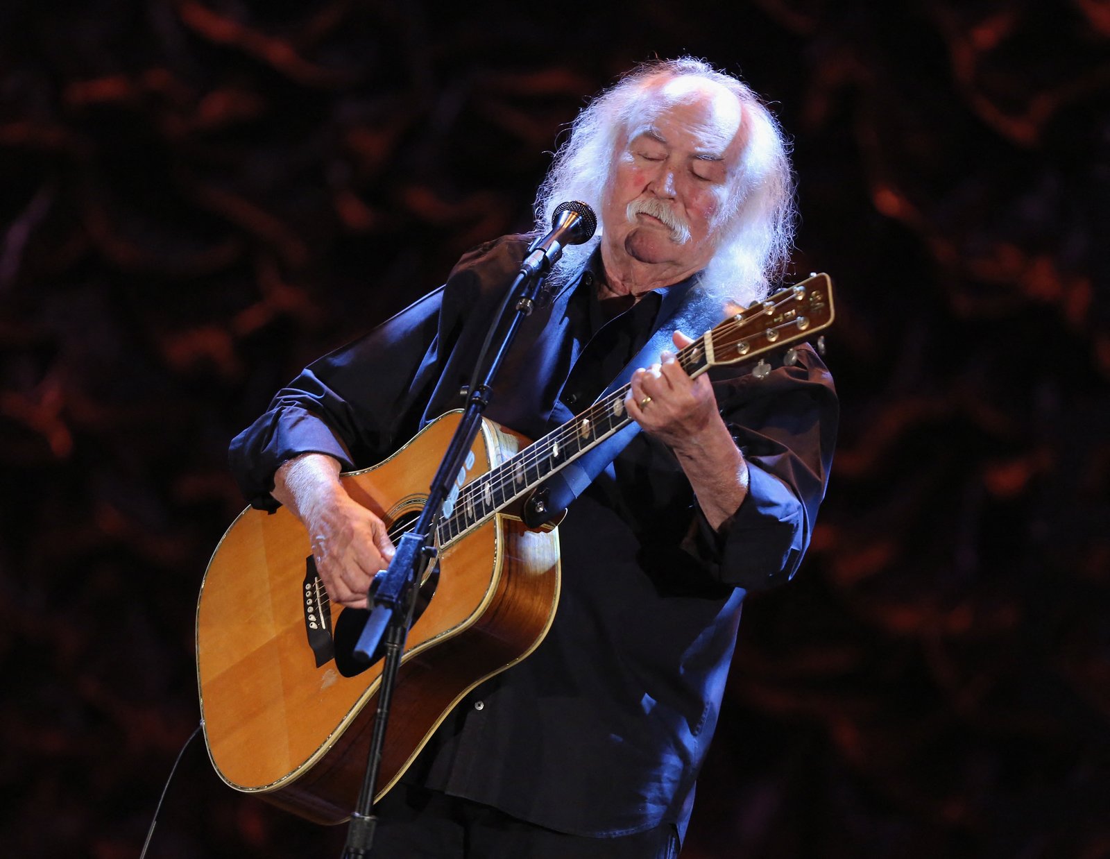 David Crosby Fotoğrafı - 1