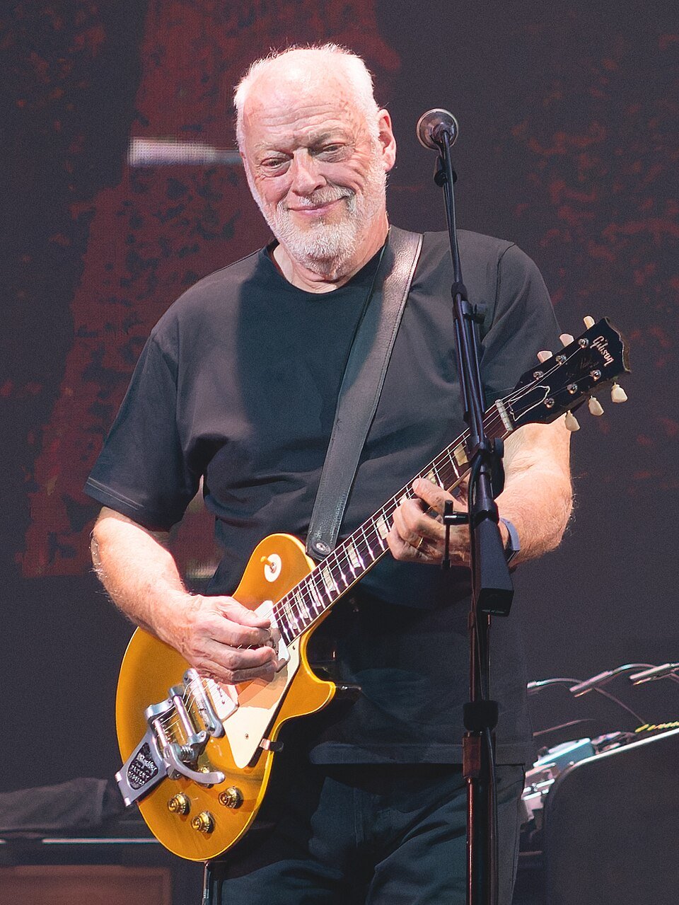 David Gilmour Fotoğrafı - 5