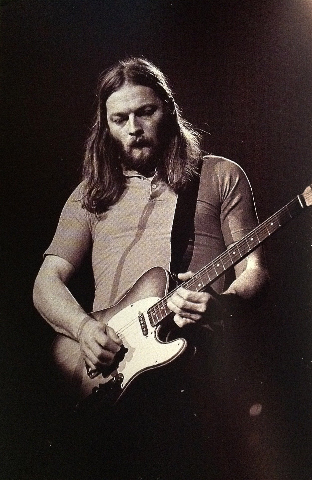 David Gilmour Profil Resmi