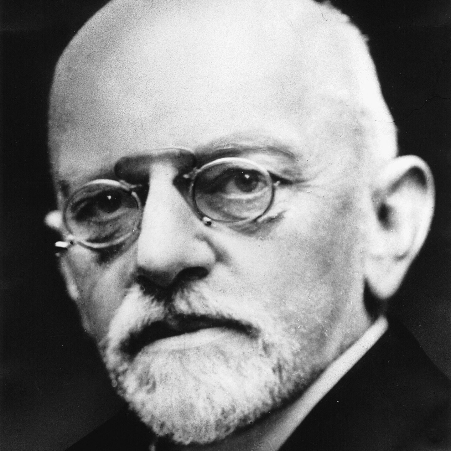 David Hilbert Profil Resmi
