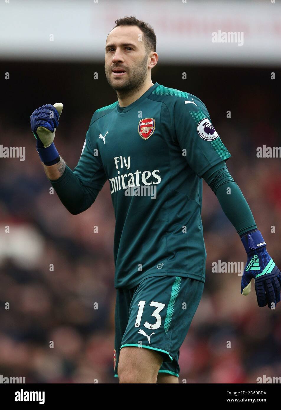 David Ospina Fotoğrafı - 2