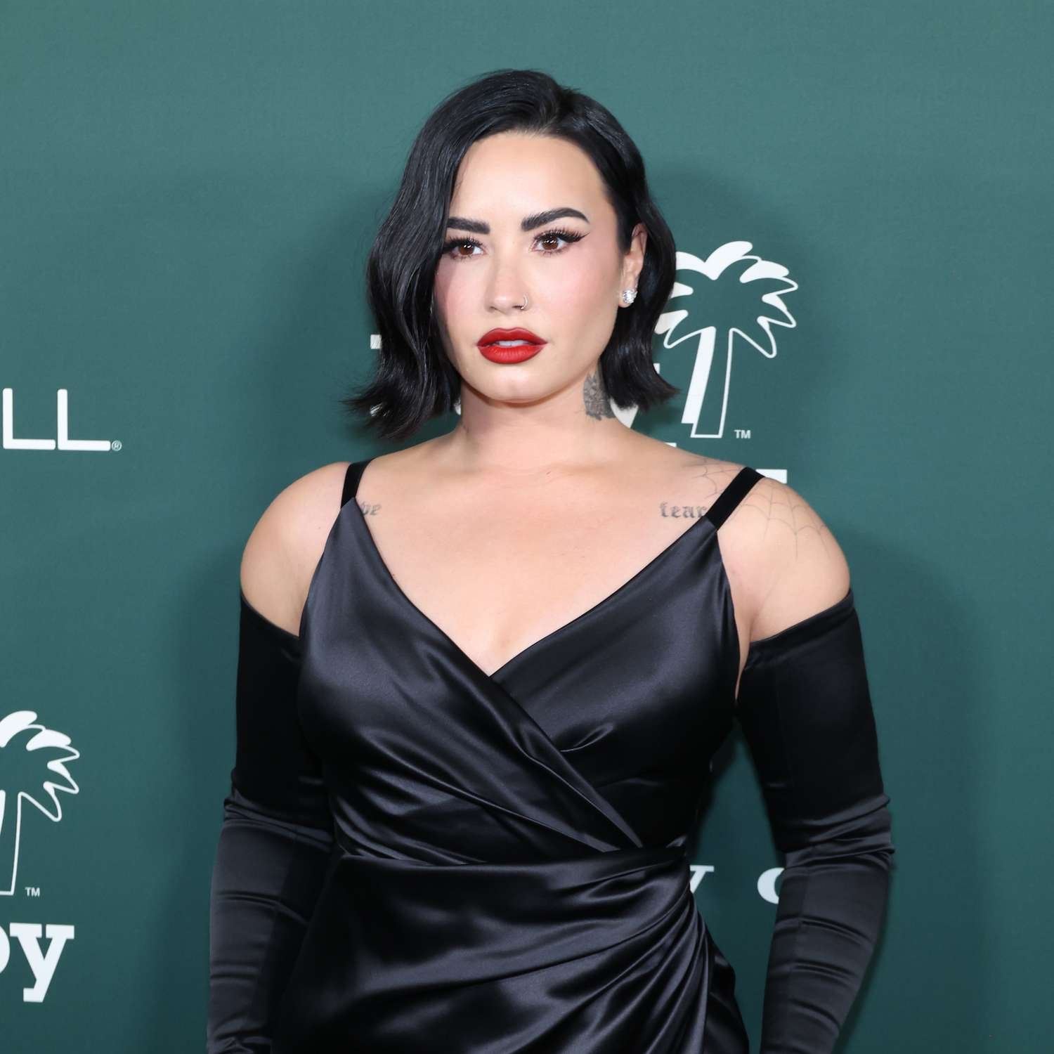Demi Lovato Fotoğrafı - 2