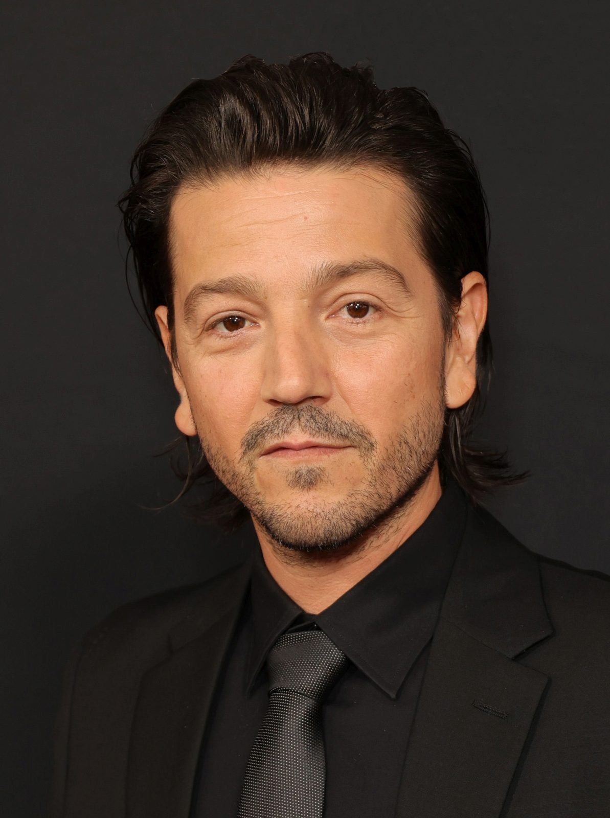 Diego Luna Profil Resmi