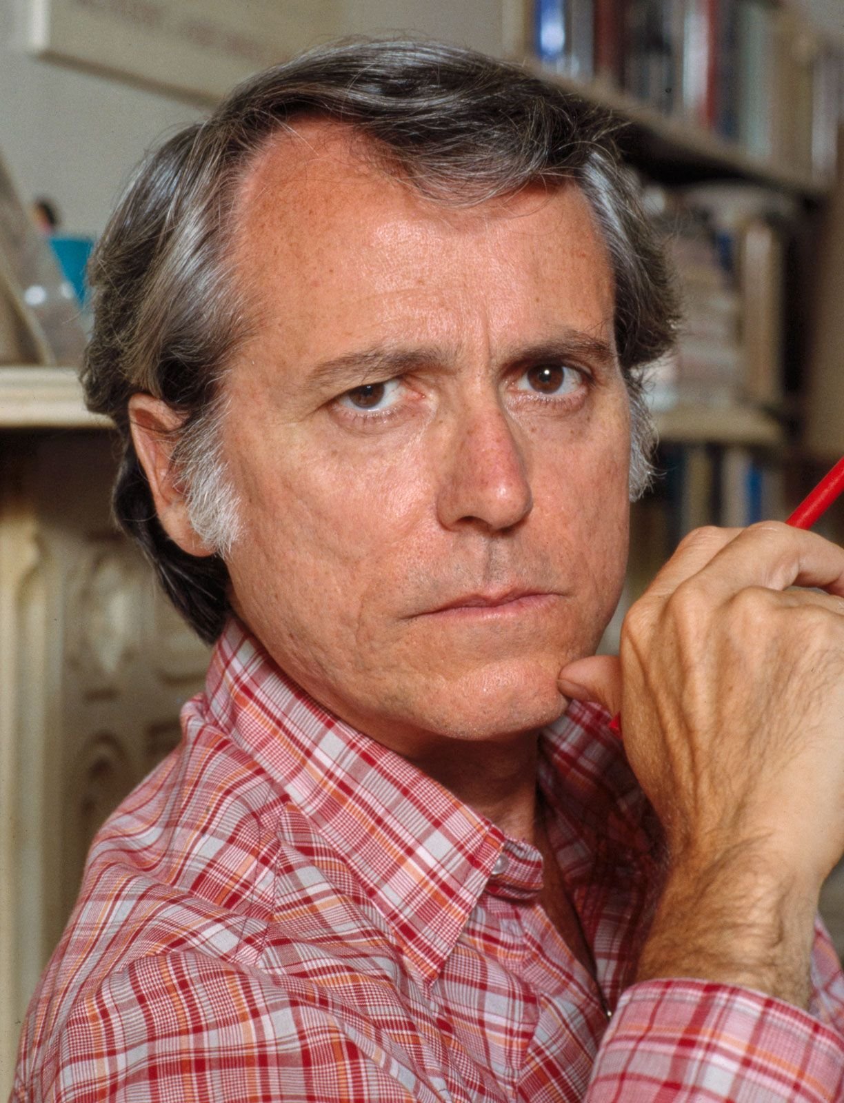 Don DeLillo Profil Resmi