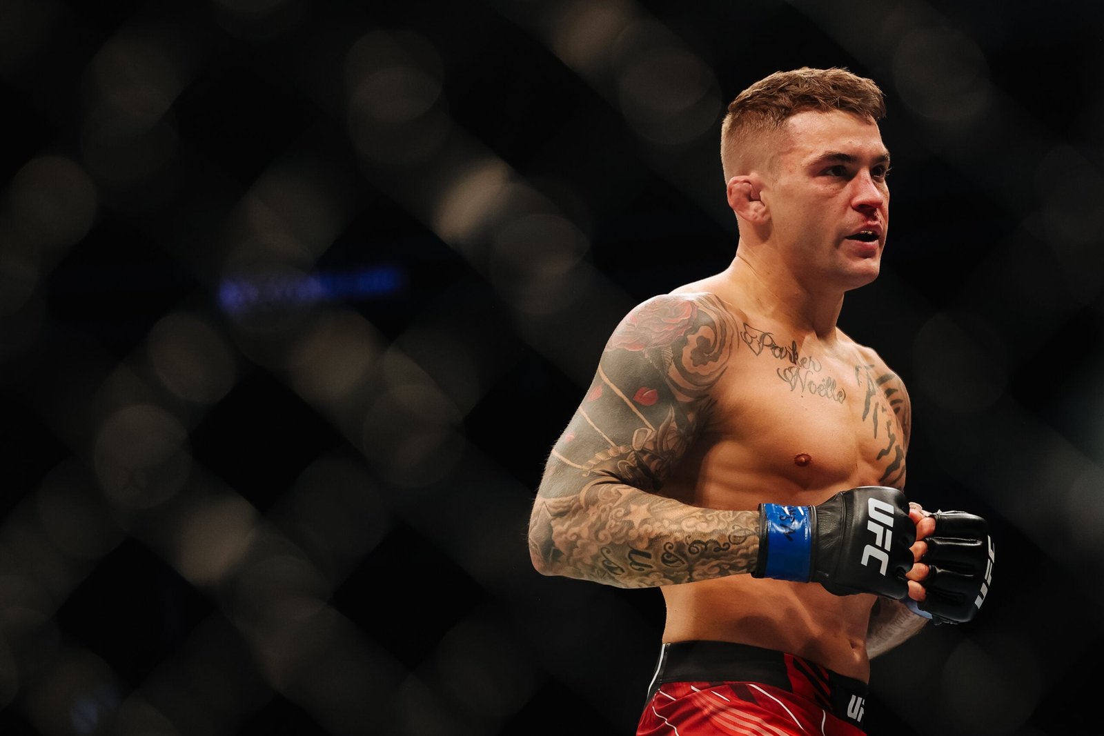 Dustin Poirier Profil Resmi