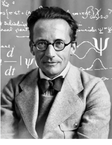 Erwin Schrödinger Profil Resmi