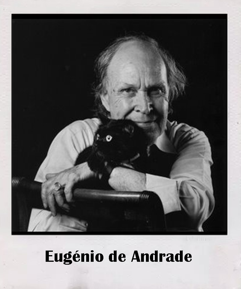 Eugénio de Andrade Fotoğrafı - 5