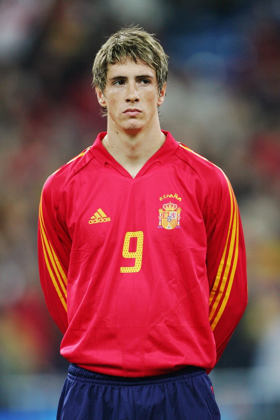 Fernando Torres Profil Resmi