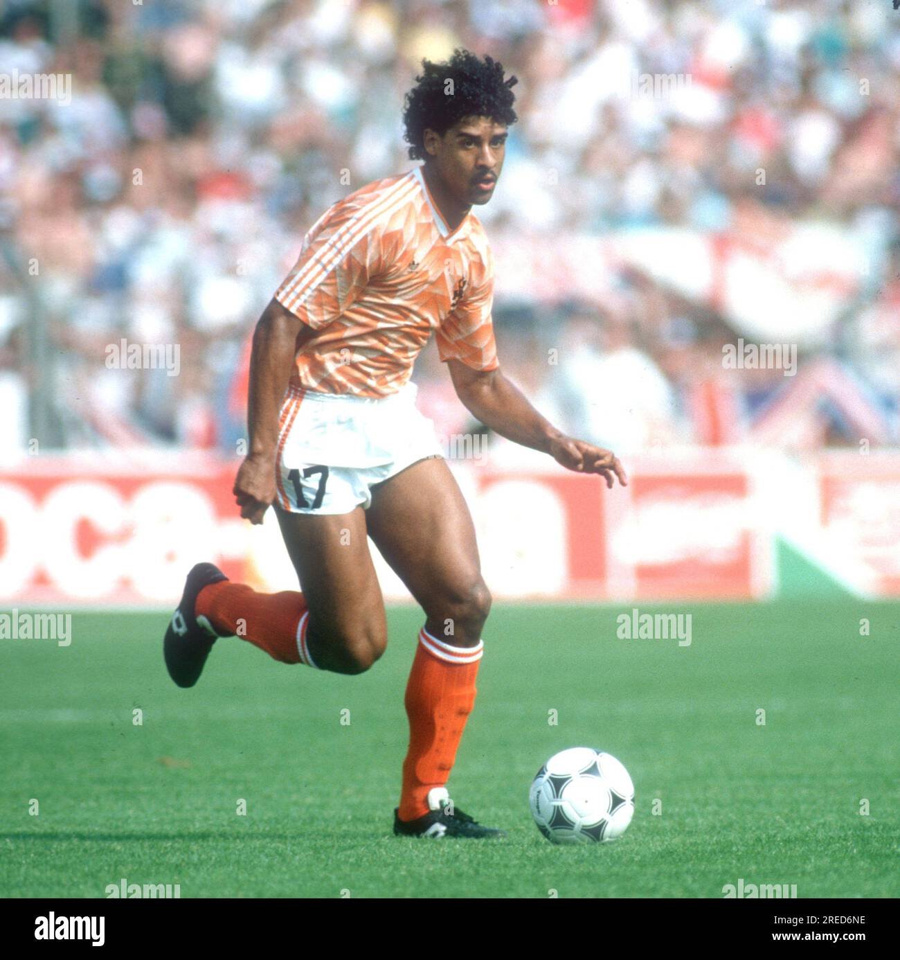 Frank Rijkaard Fotoğrafı - 1