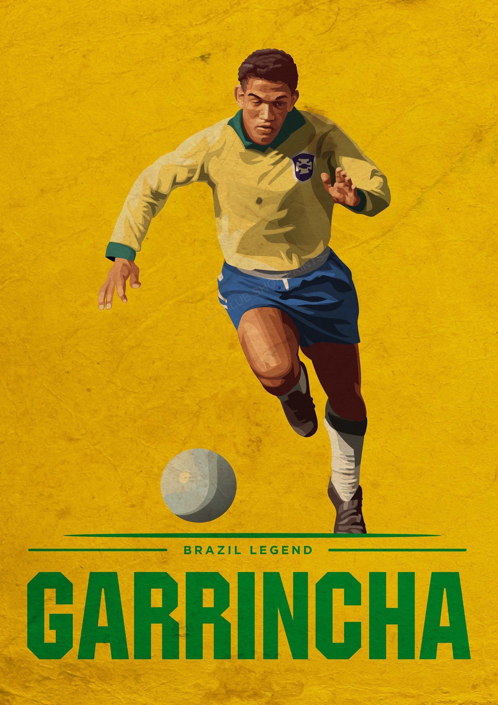 Garrincha Fotoğrafı - 3