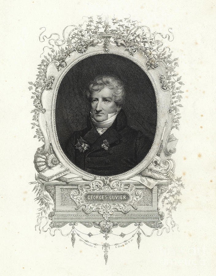 Georges Cuvier Fotoğrafı - 3