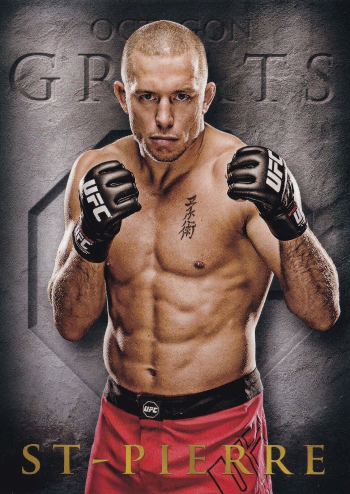 Georges St-Pierre Fotoğrafı - 1
