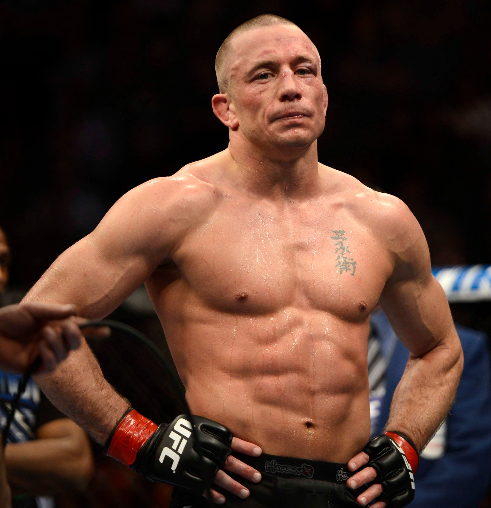 Georges St-Pierre Fotoğrafı - 2