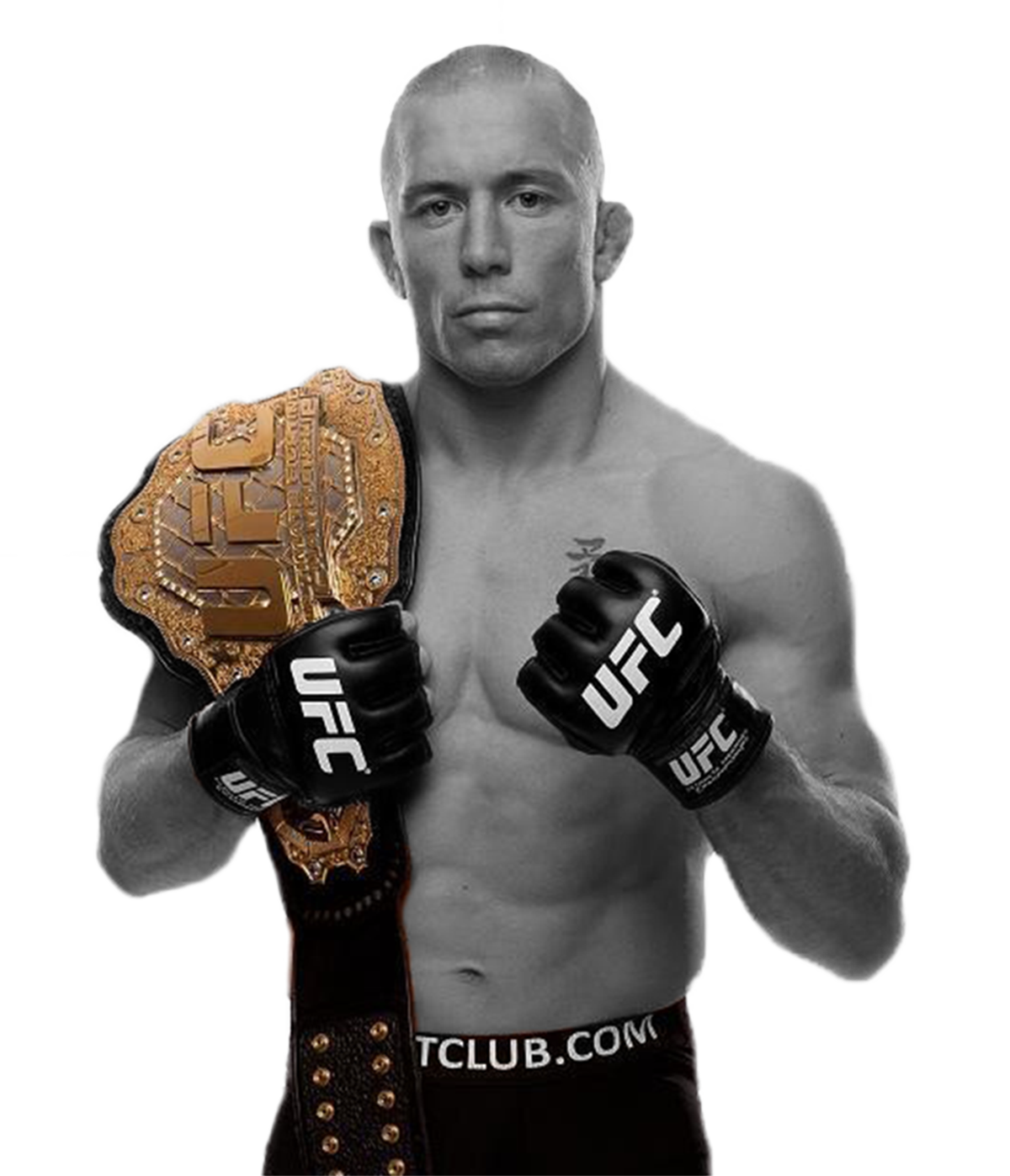 Georges St-Pierre Fotoğrafı - 3