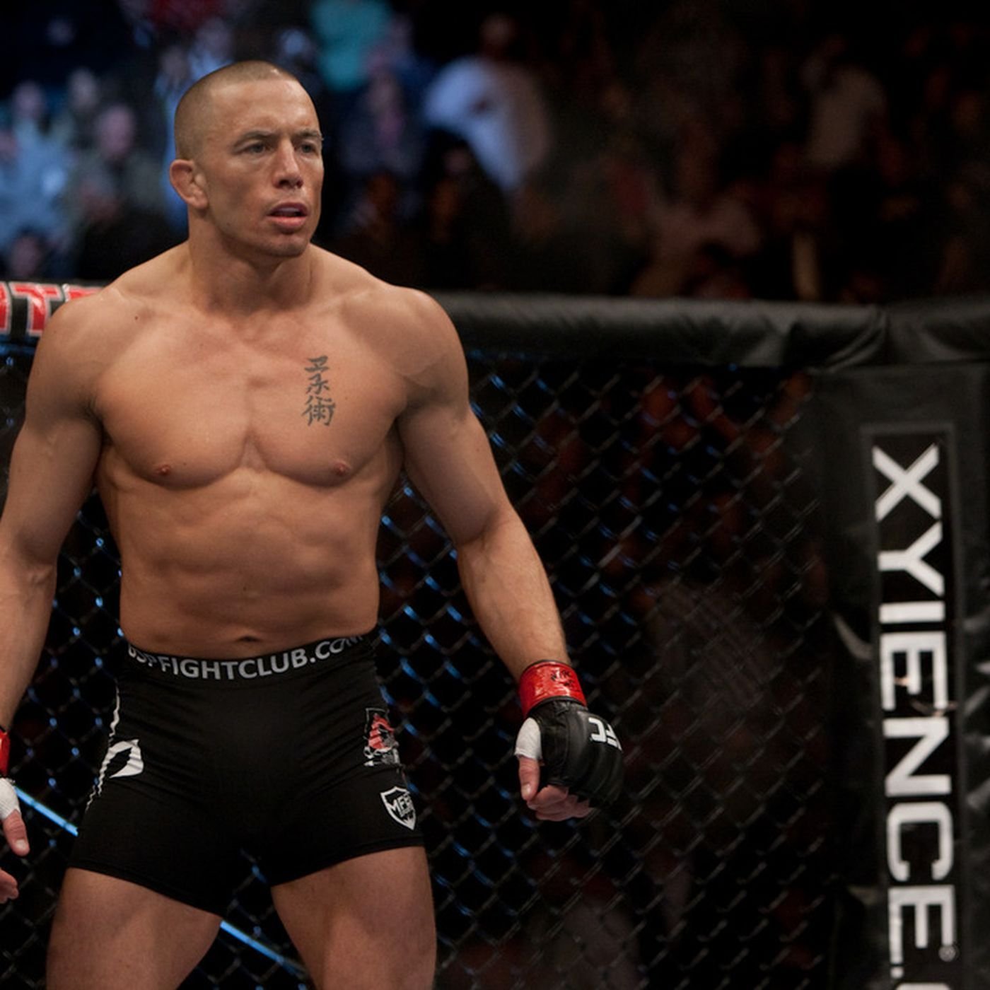 Georges St-Pierre Fotoğrafı - 4