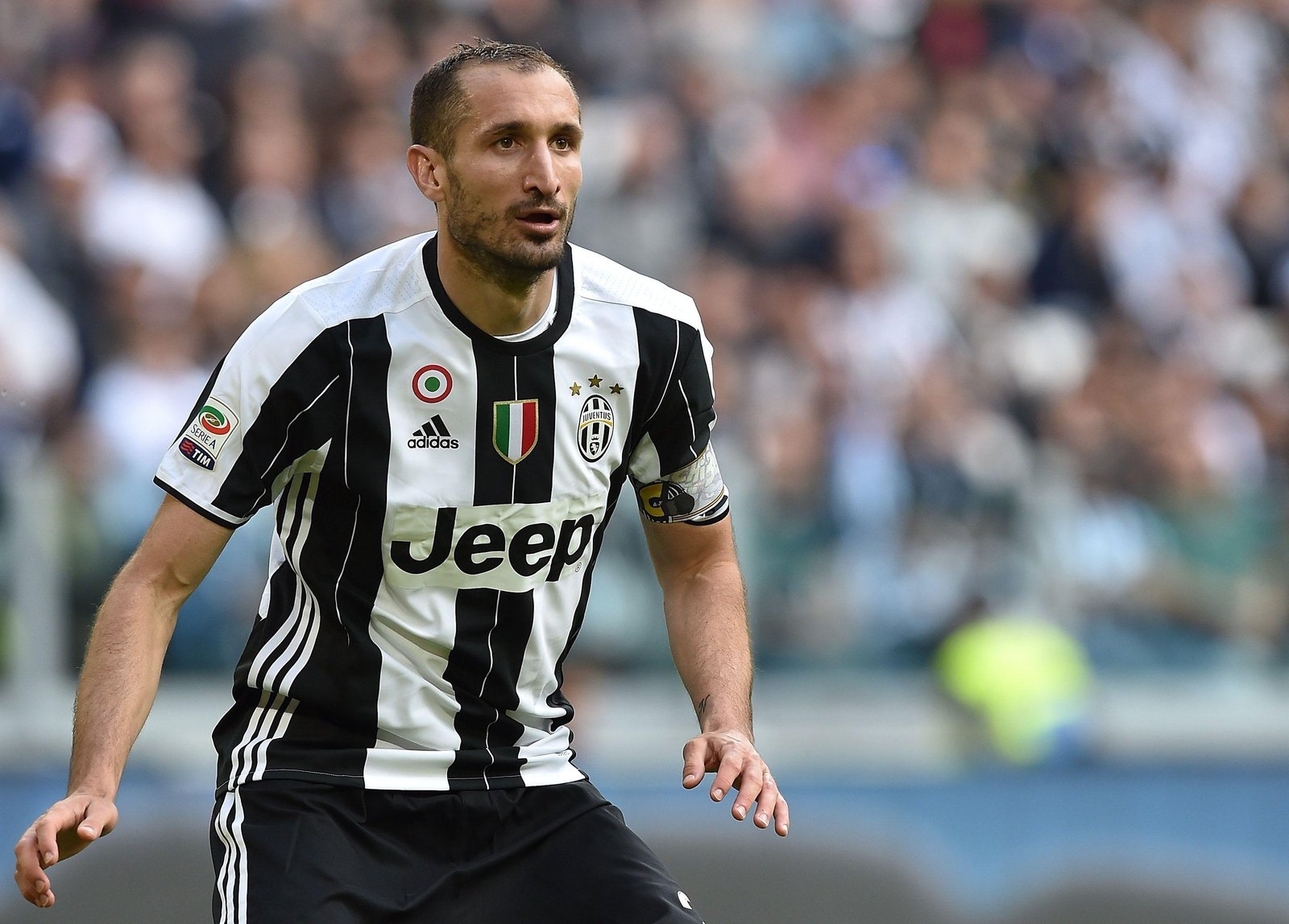 Giorgio Chiellini Fotoğrafı - 1