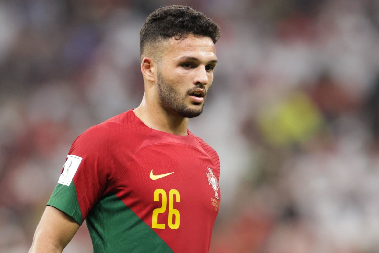 Gonçalo Ramos Profil Resmi
