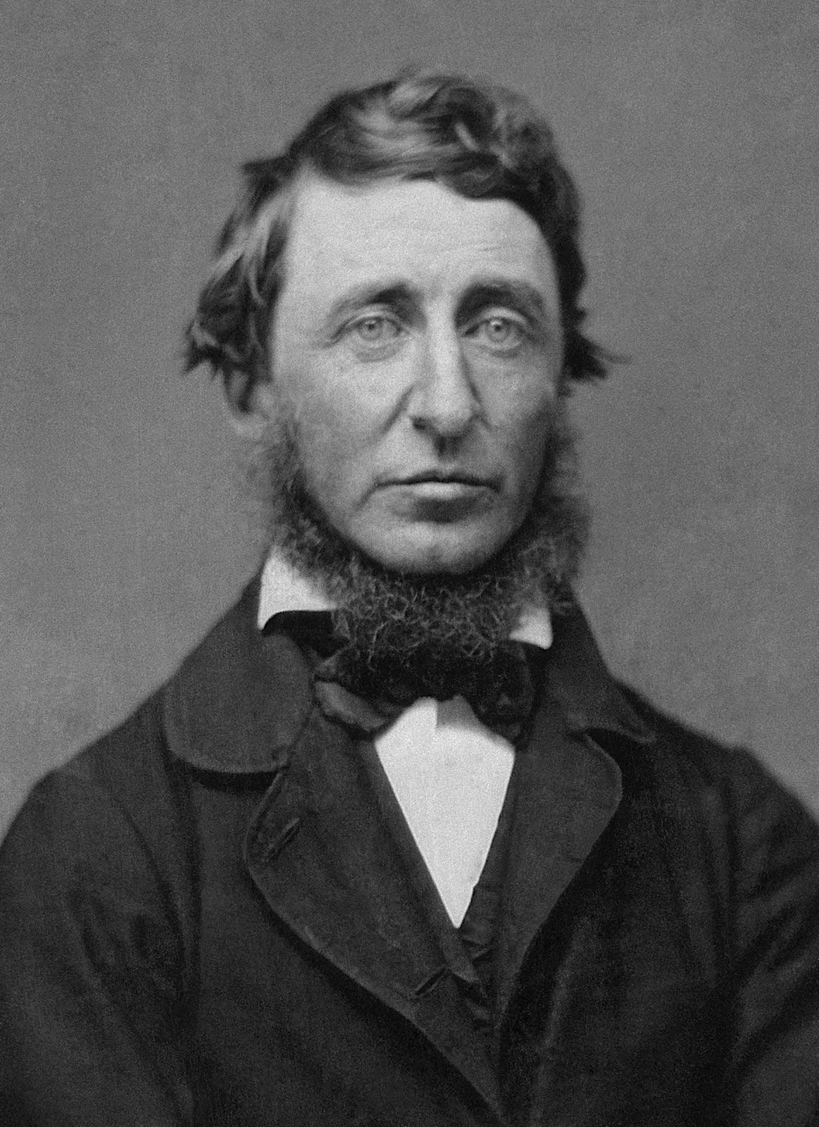 Henry David Thoreau Profil Resmi