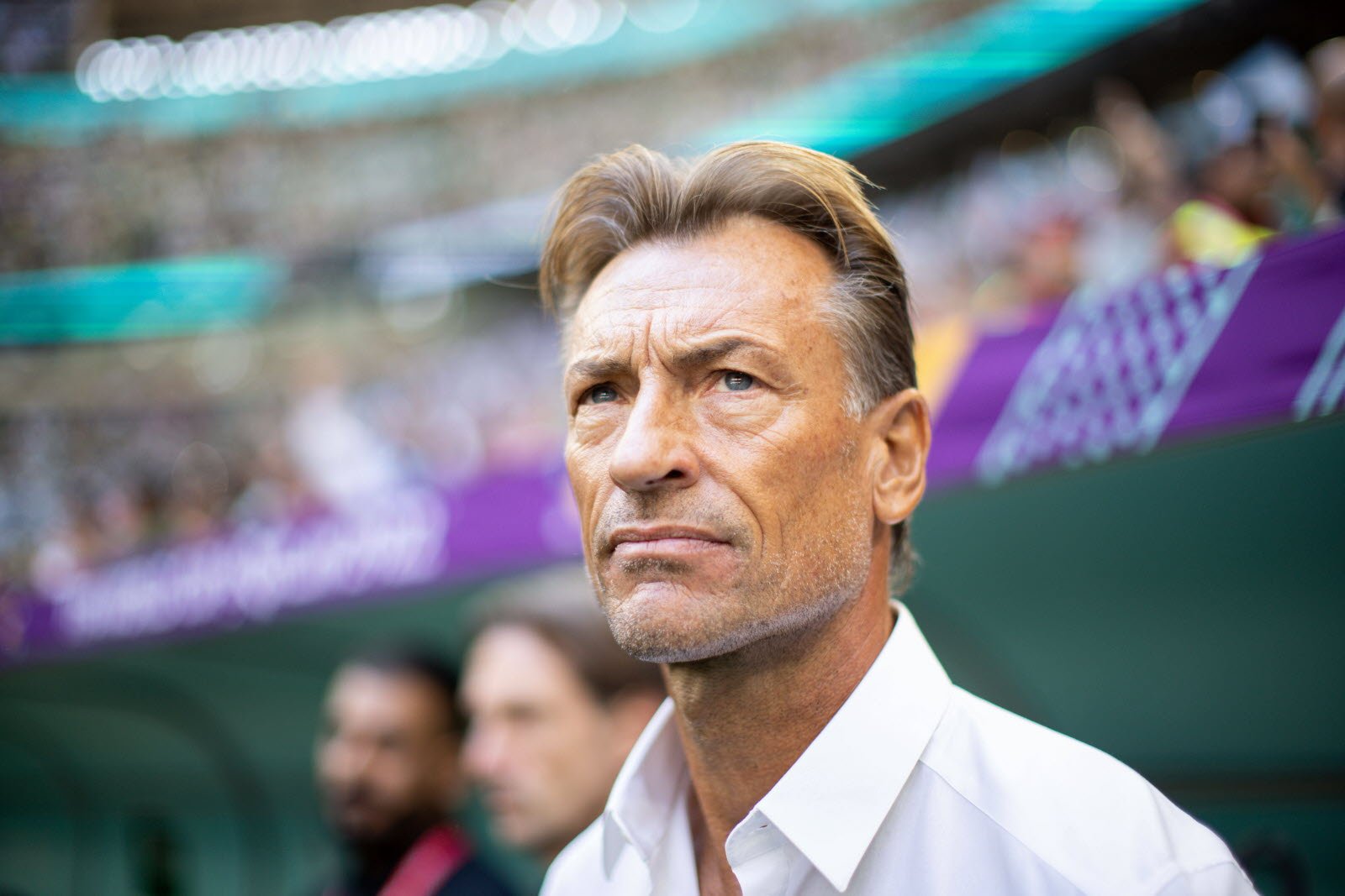 Hervé Renard Profil Resmi
