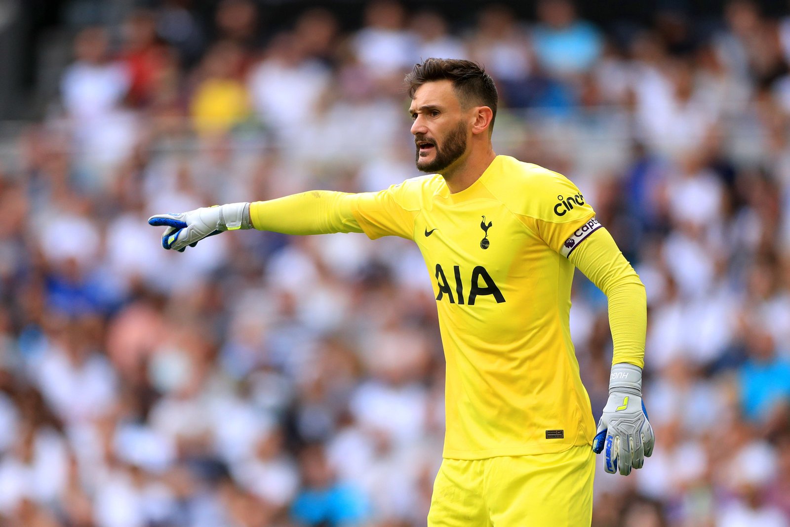 Hugo Lloris Fotoğrafı - 5