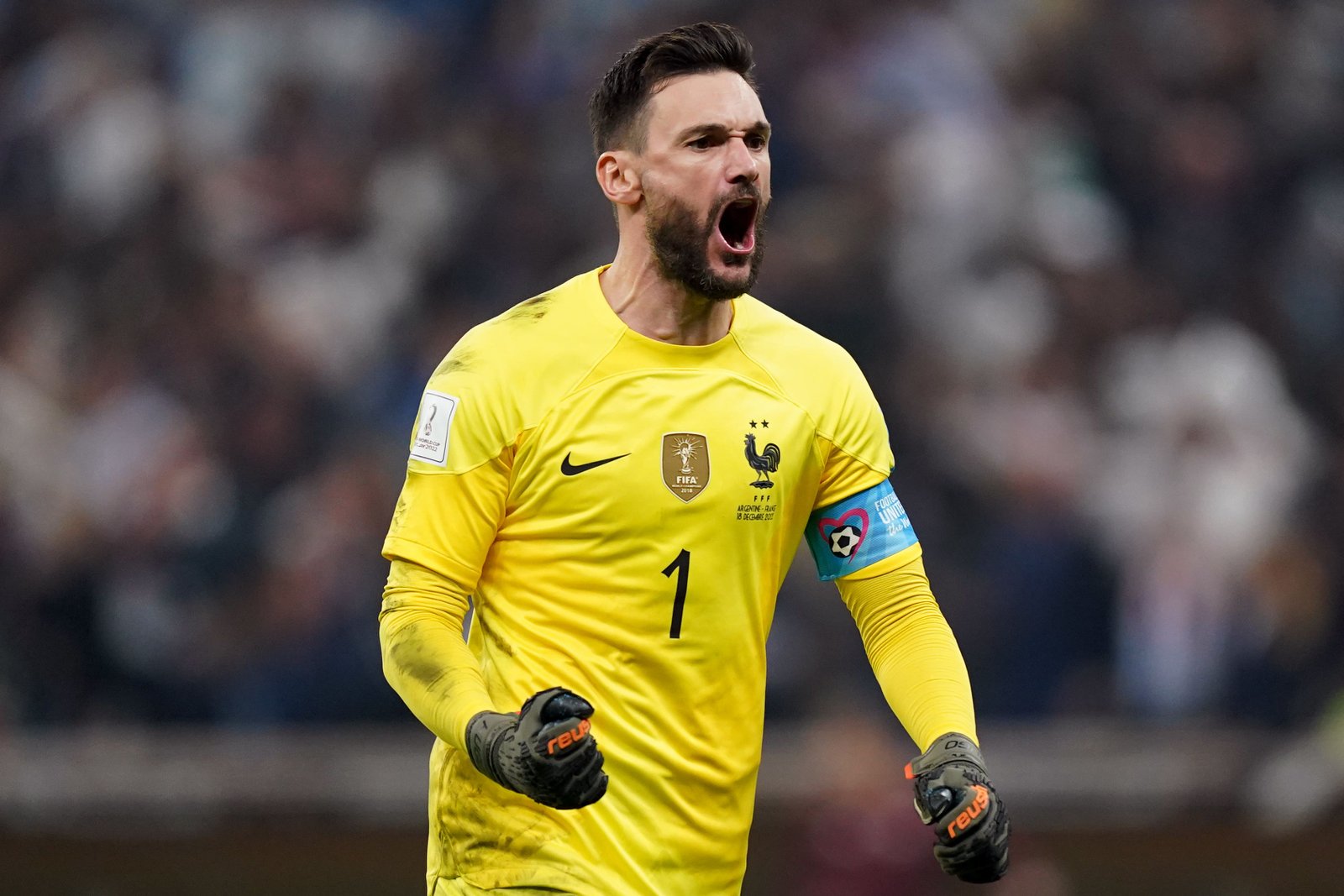 Hugo Lloris Profil Resmi