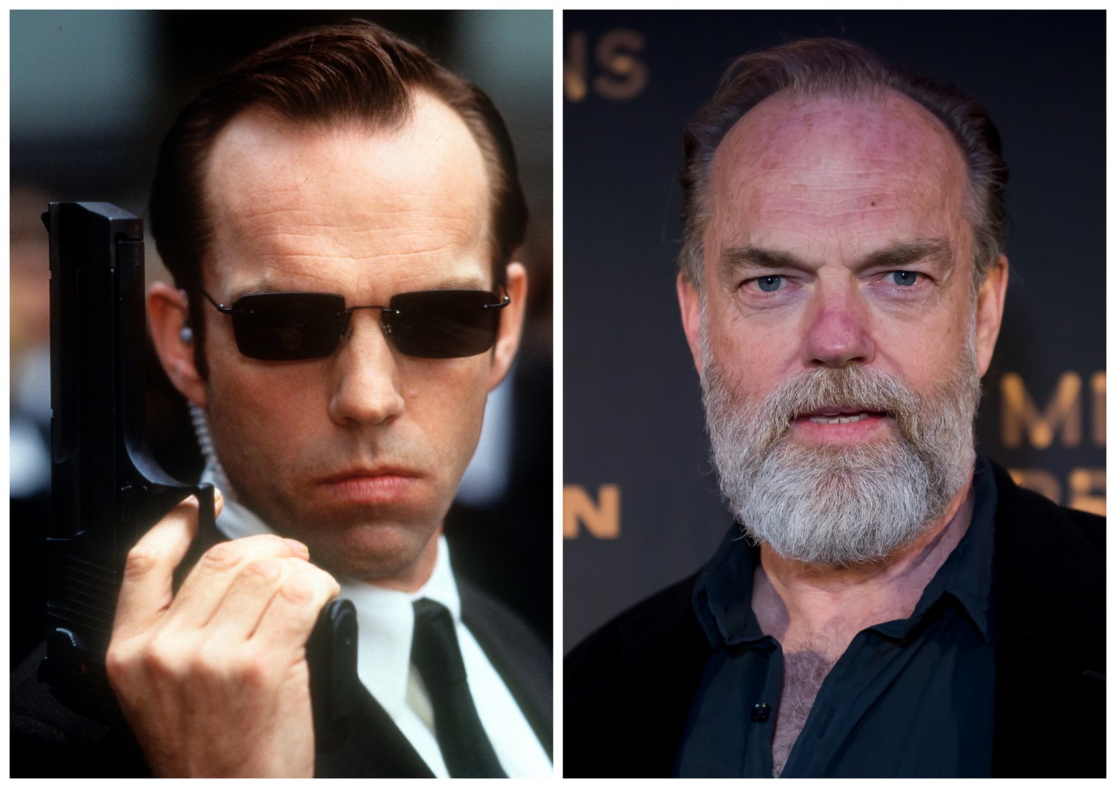 Hugo Weaving Fotoğrafı - 4
