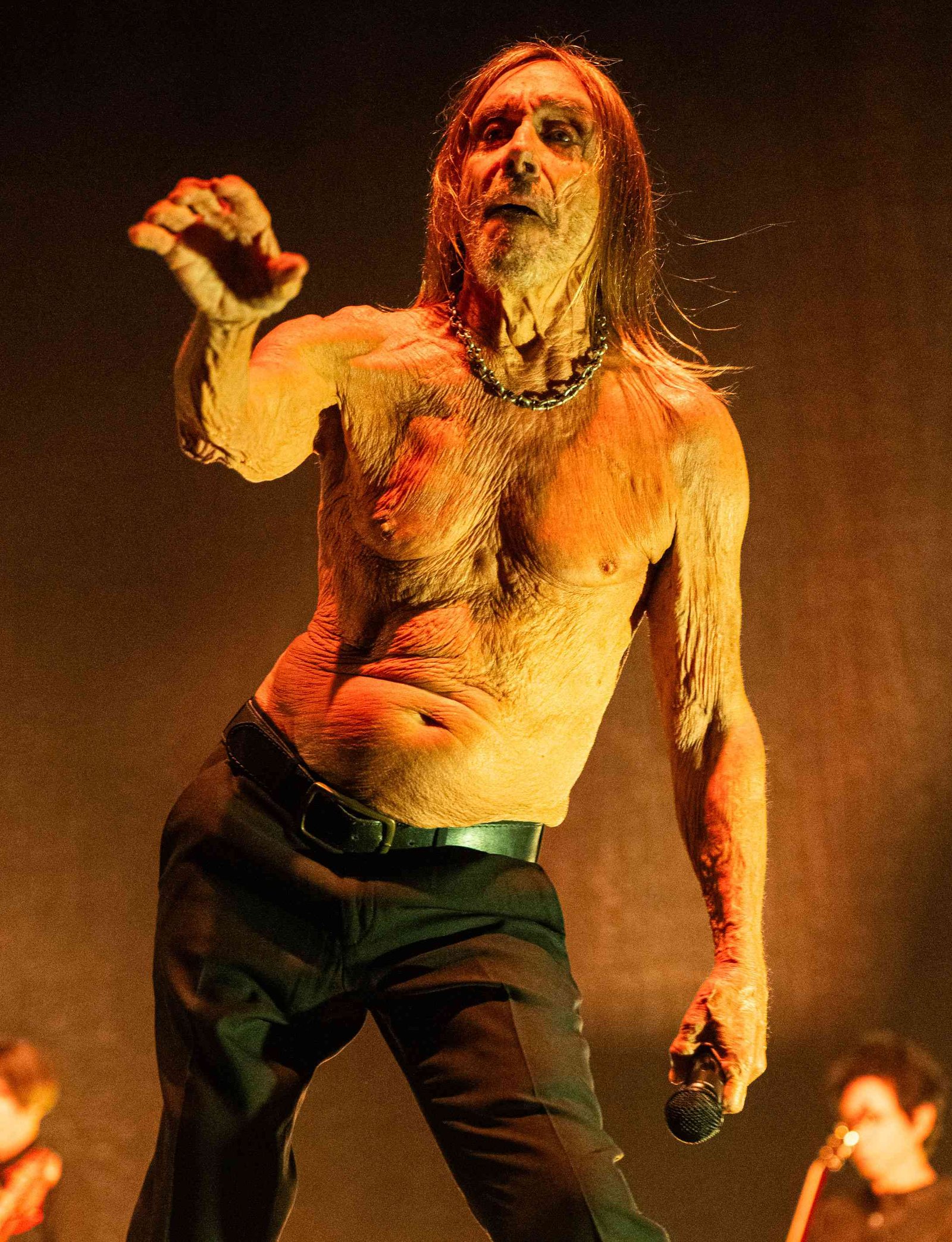 Iggy Pop Fotoğrafı - 3