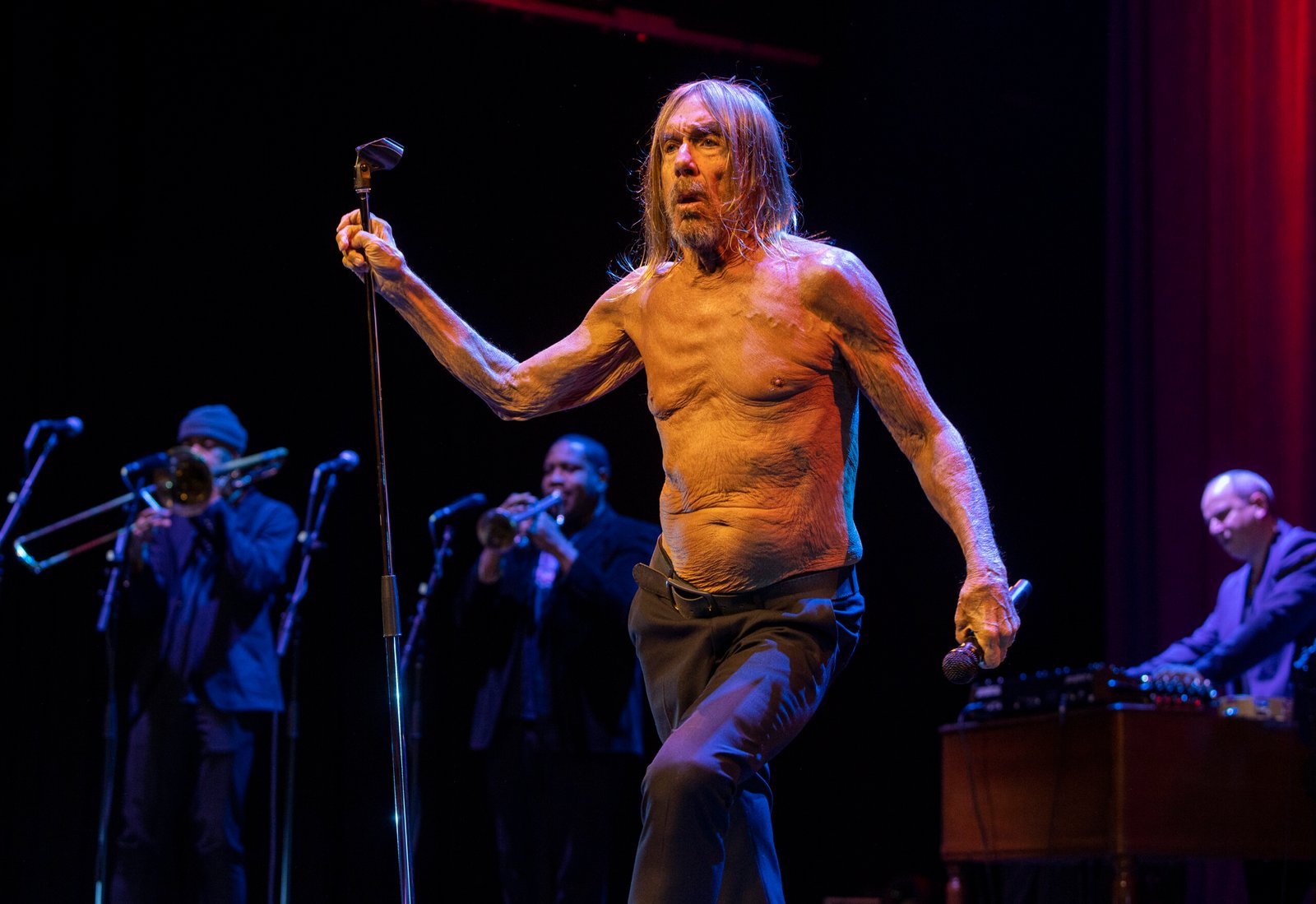 Iggy Pop Fotoğrafı - 4