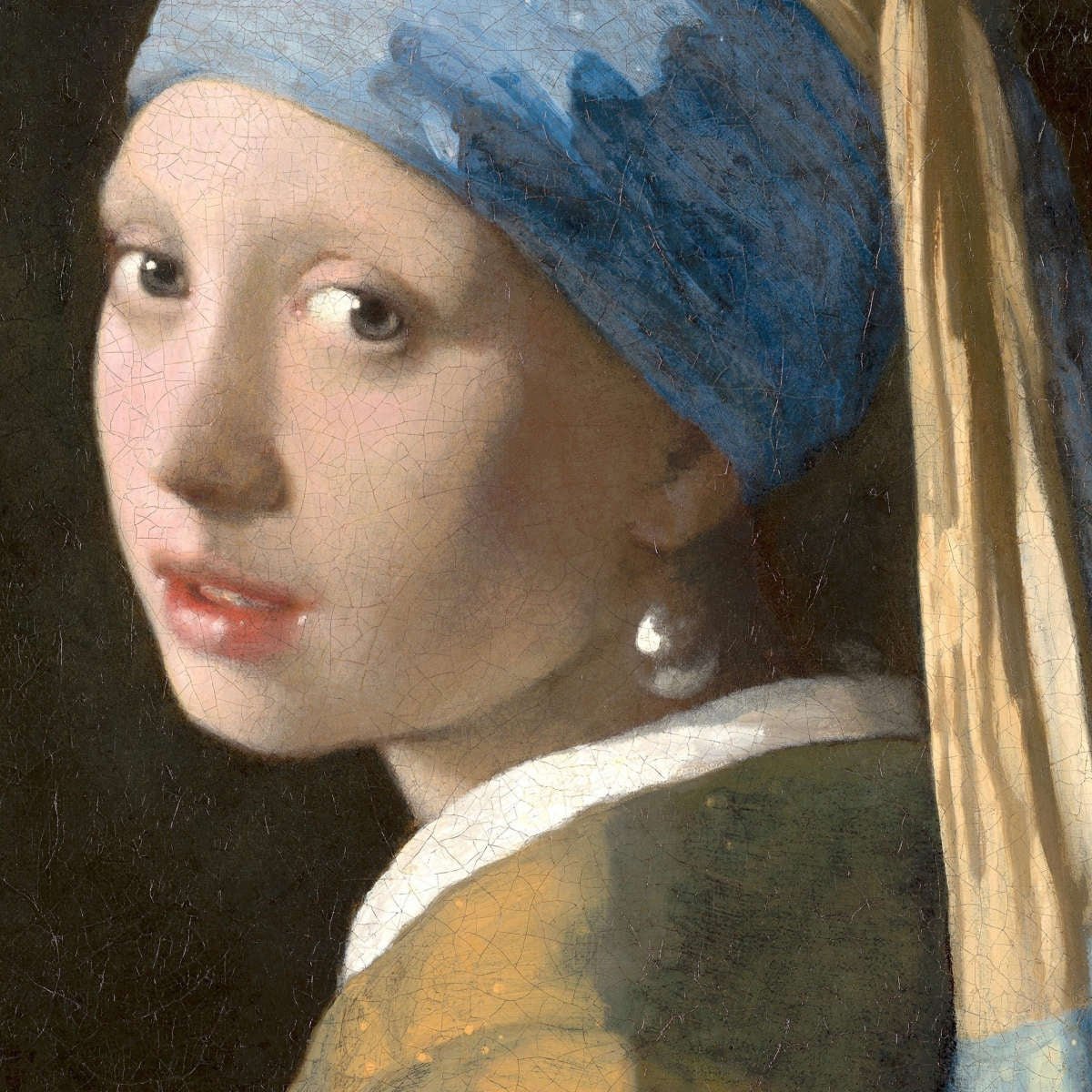 Johannes Vermeer Fotoğrafı - 3