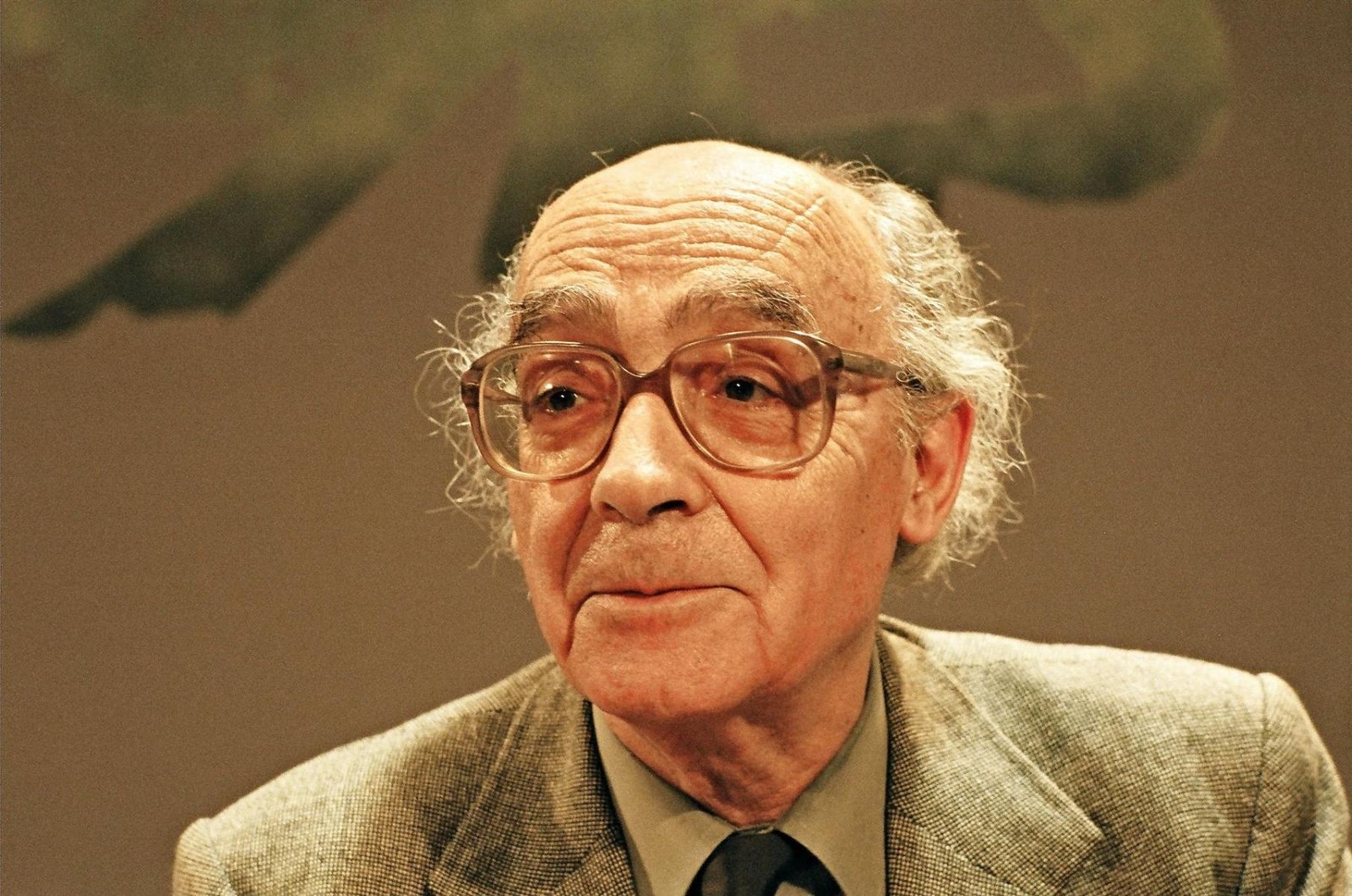 José Saramago Profil Resmi