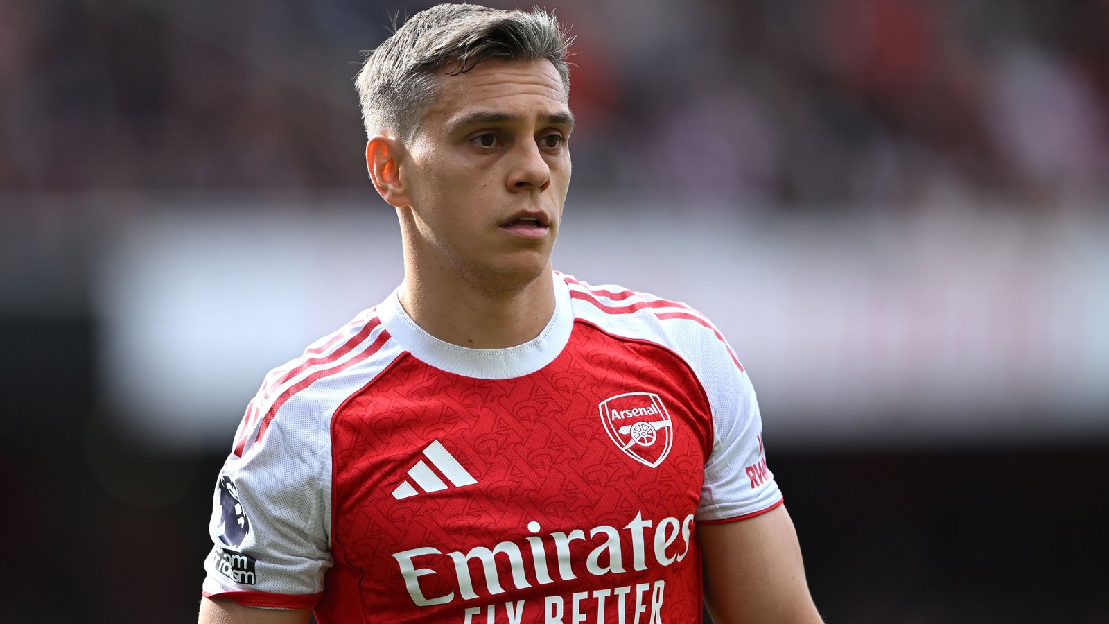 Leandro Trossard Profil Resmi